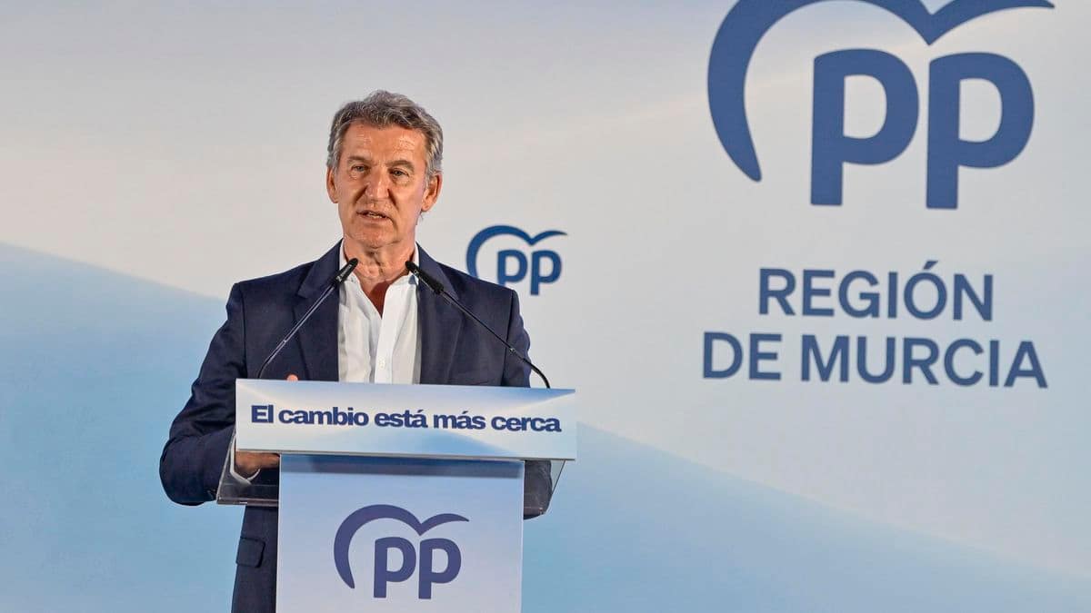 Feijóo acusa a Sánchez de "fabricar dos millones y medio de votantes" con la ley de memoria y pide detener el proceso