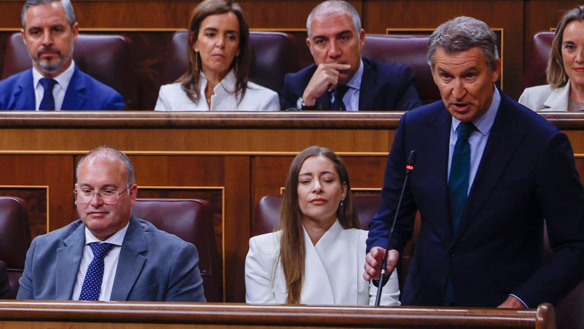 El PP lleva al Senado la votación para pedir elecciones vetada por el Congreso